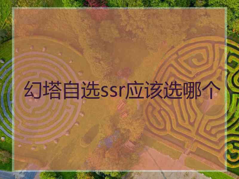 幻塔自选ssr应该选哪个