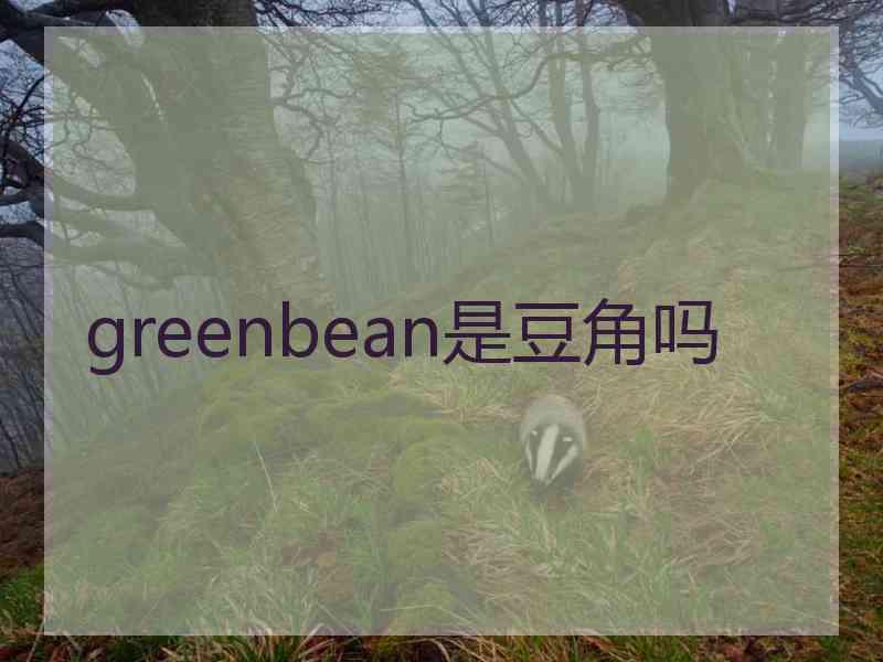 greenbean是豆角吗