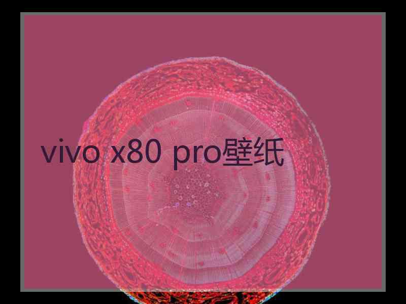 vivo x80 pro壁纸