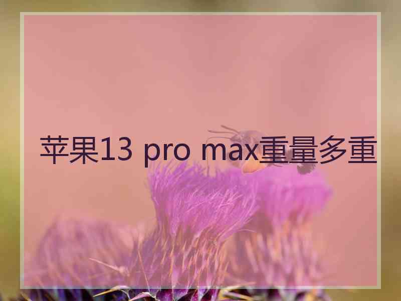 苹果13 pro max重量多重