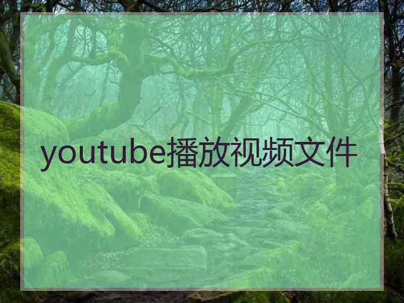 youtube播放视频文件