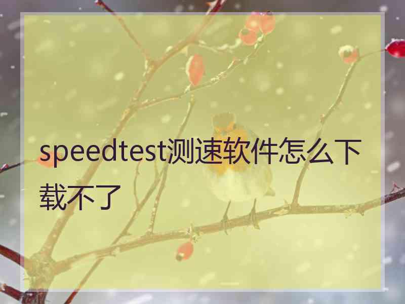 speedtest测速软件怎么下载不了