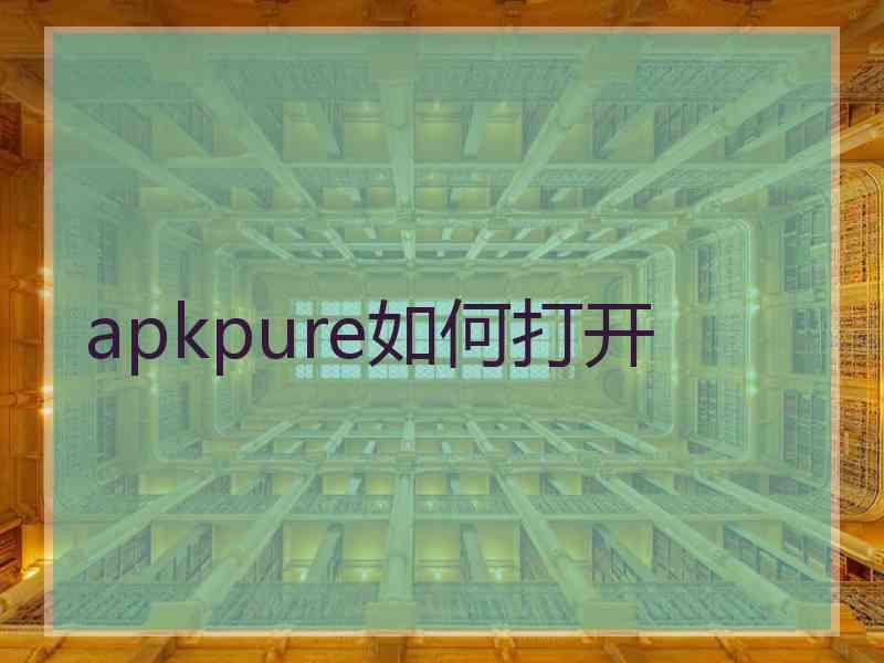 apkpure如何打开