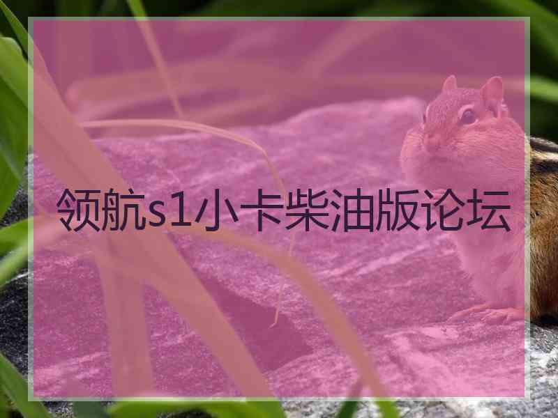 领航s1小卡柴油版论坛