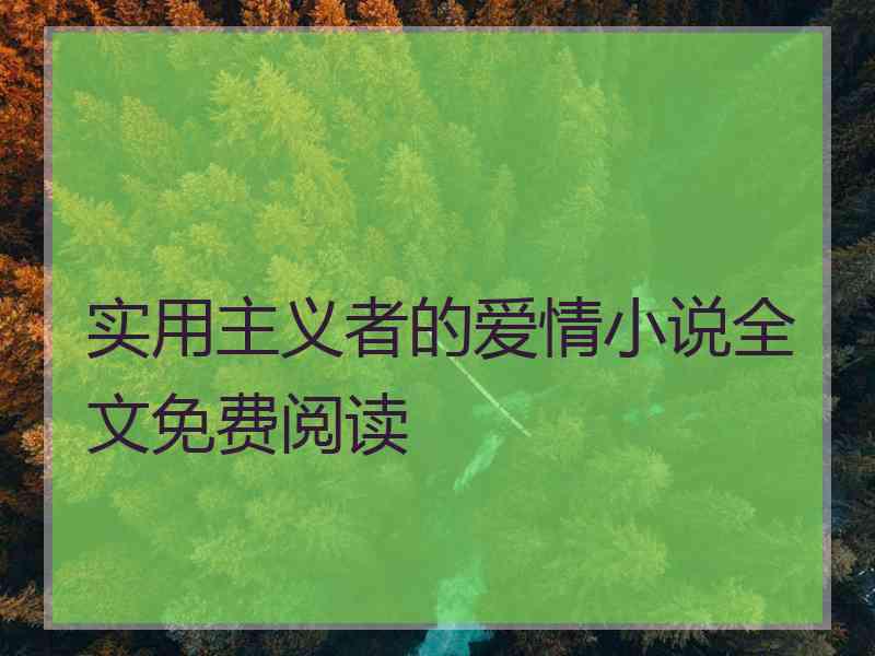 实用主义者的爱情小说全文免费阅读