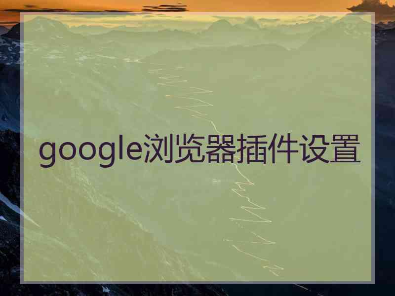 google浏览器插件设置