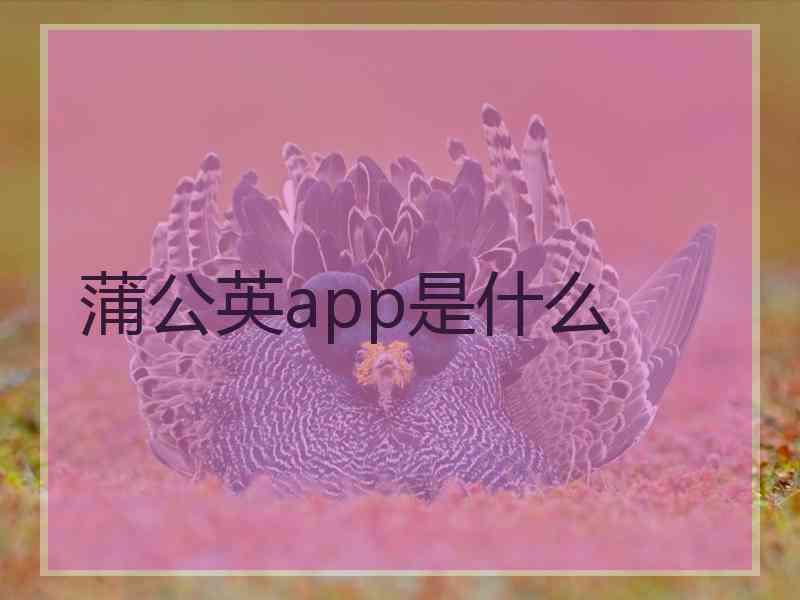 蒲公英app是什么