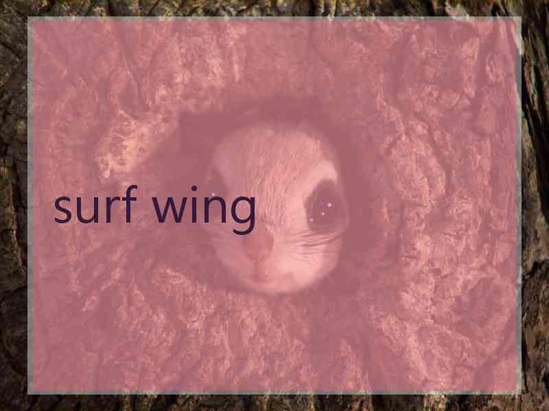 surf wing