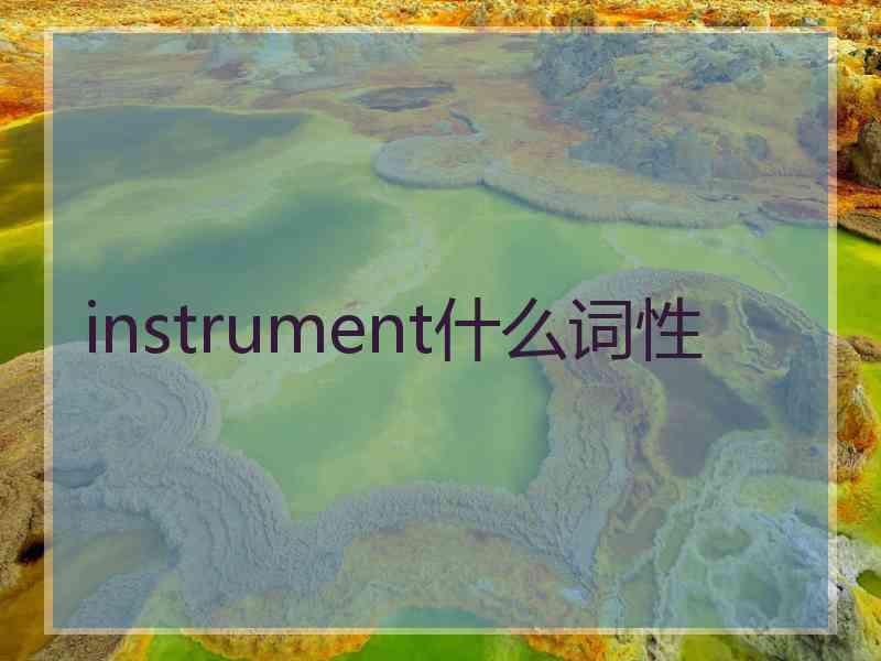 instrument什么词性