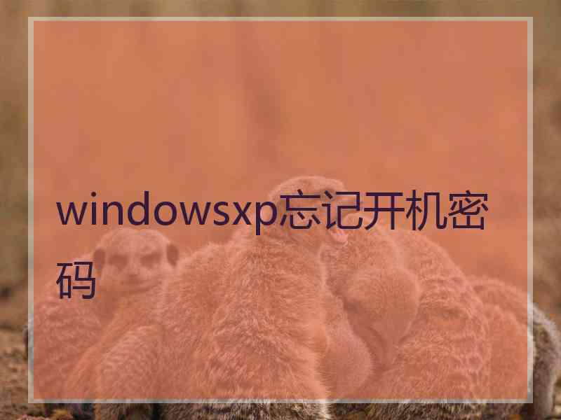 windowsxp忘记开机密码