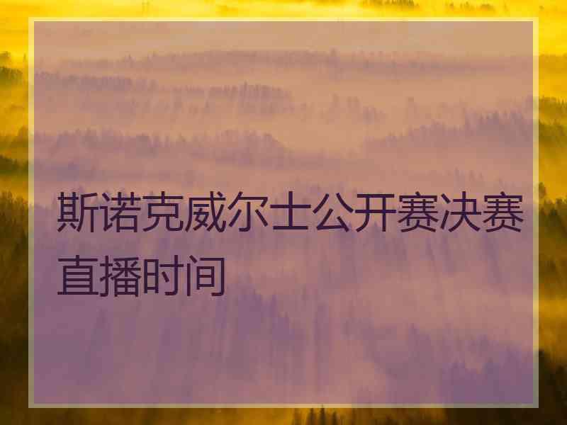 斯诺克威尔士公开赛决赛直播时间