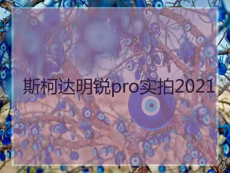 斯柯达明锐pro实拍2021