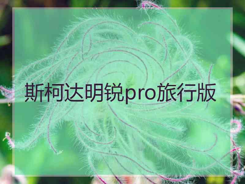 斯柯达明锐pro旅行版