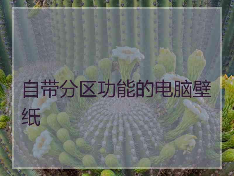 自带分区功能的电脑壁纸