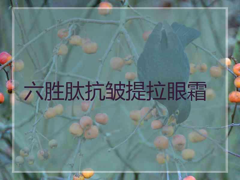 六胜肽抗皱提拉眼霜