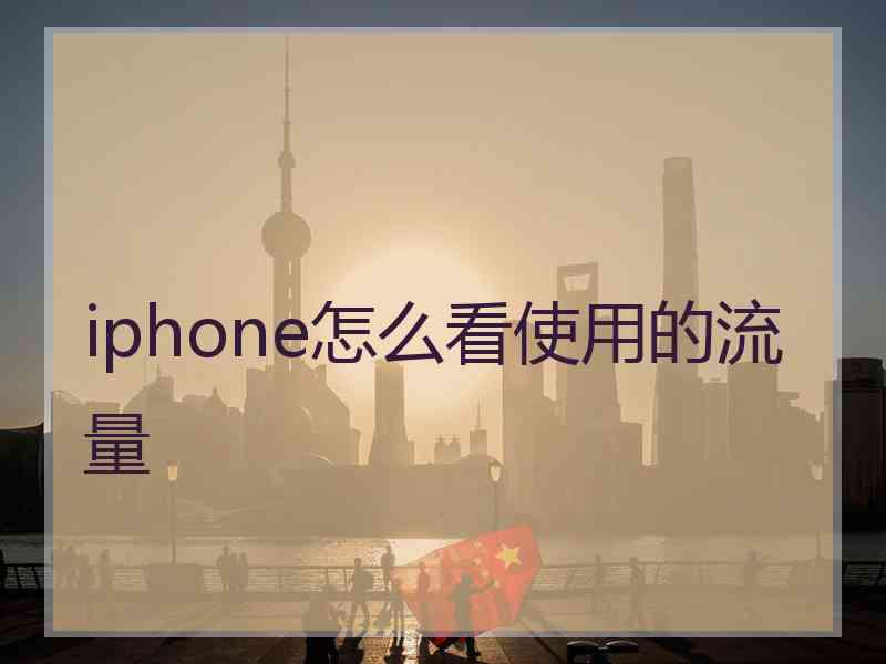 iphone怎么看使用的流量