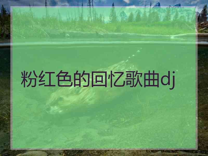 粉红色的回忆歌曲dj