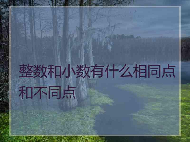 整数和小数有什么相同点和不同点