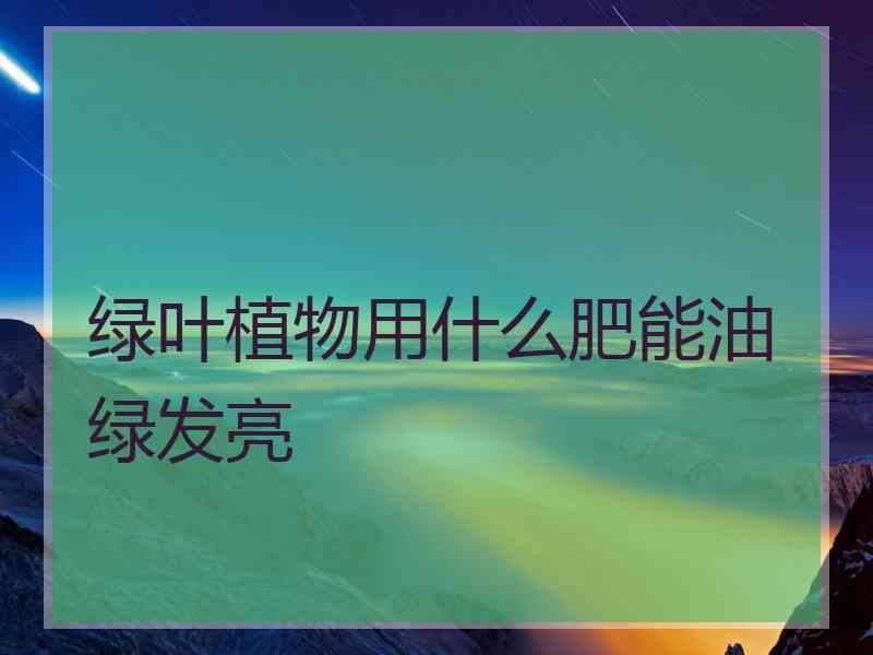 绿叶植物用什么肥能油绿发亮