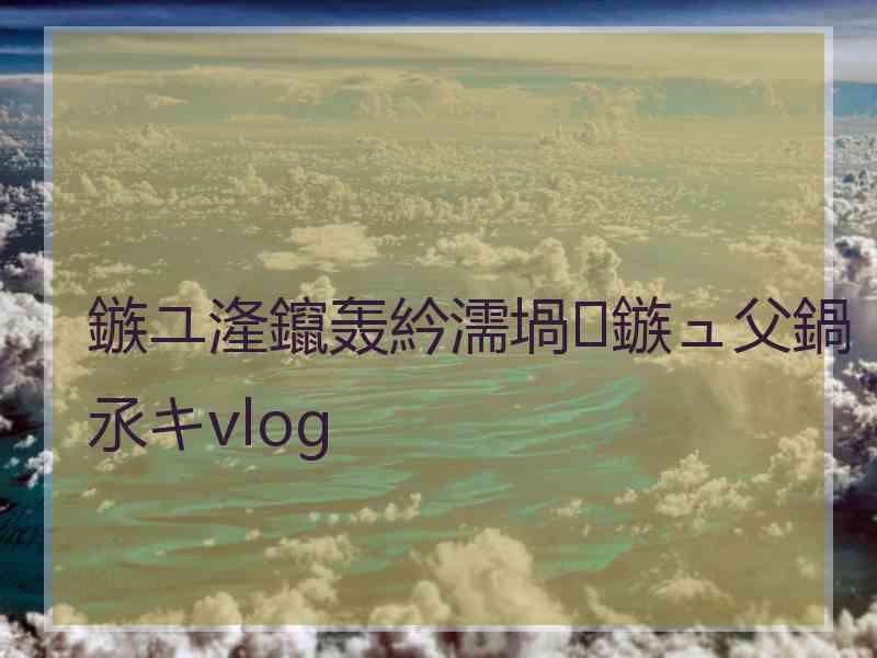 鏃ユ湰鑹轰紟濡堝鏃ュ父鍋氶キvlog