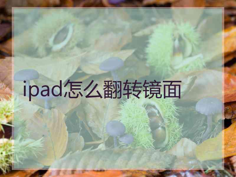 ipad怎么翻转镜面