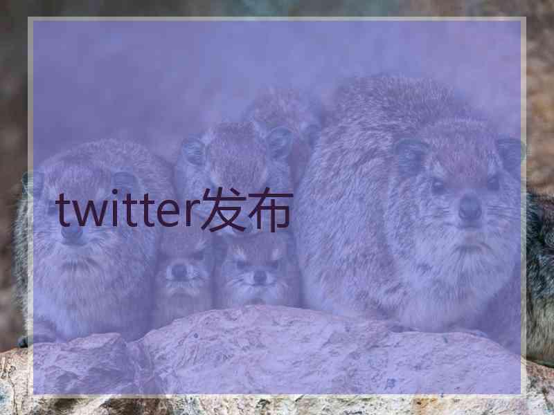 twitter发布