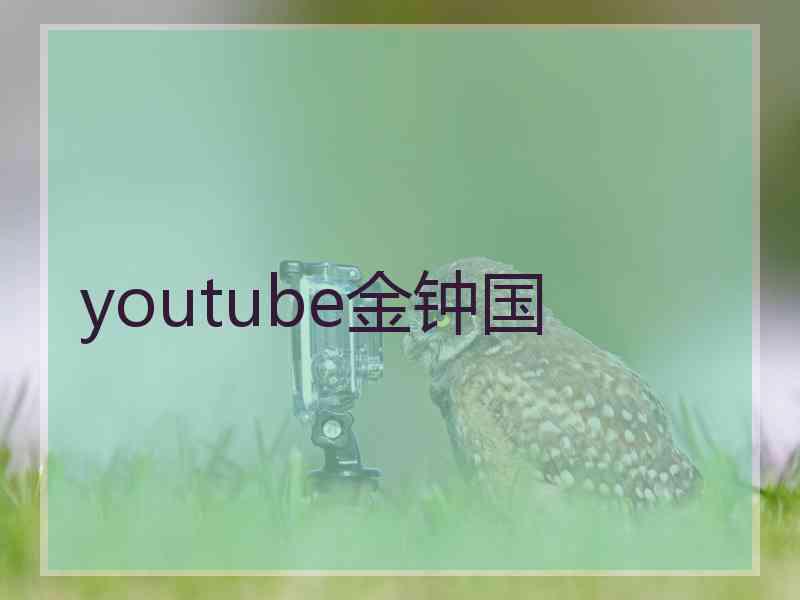 youtube金钟国