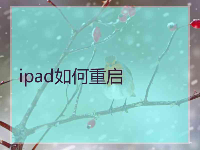 ipad如何重启