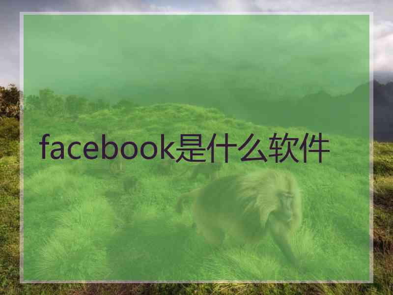 facebook是什么软件