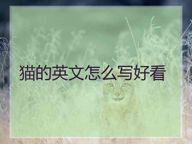 猫的英文怎么写好看