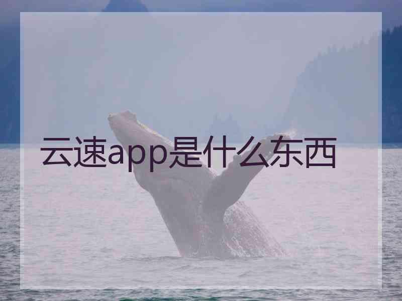 云速app是什么东西