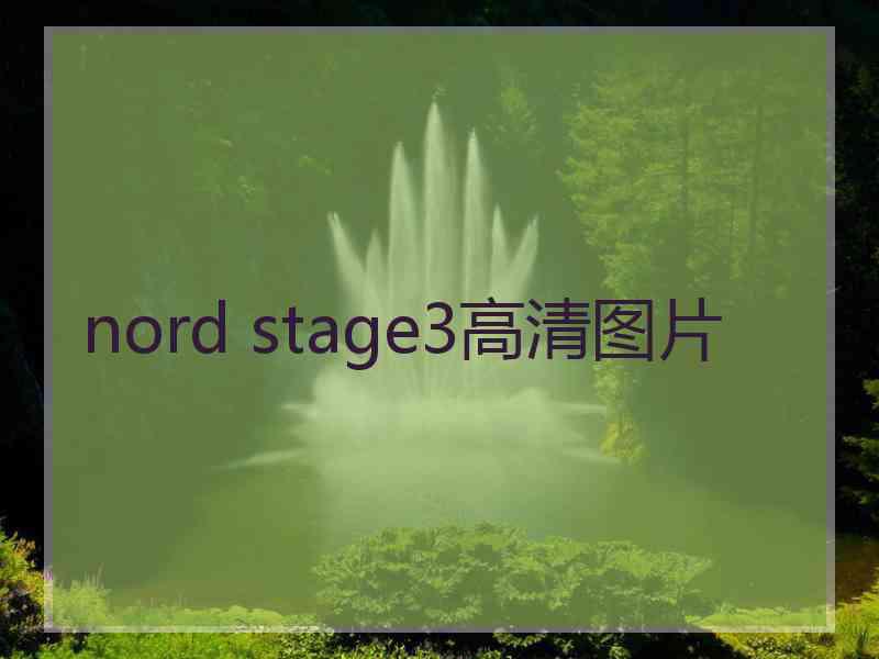 nord stage3高清图片