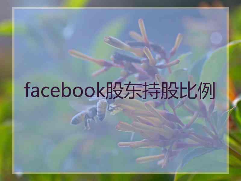 facebook股东持股比例