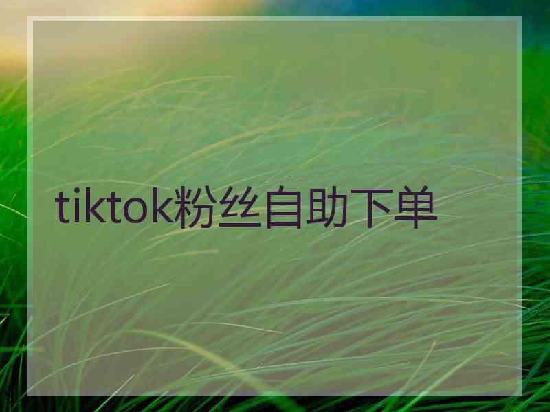 tiktok粉丝自助下单