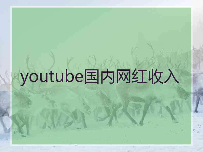 youtube国内网红收入