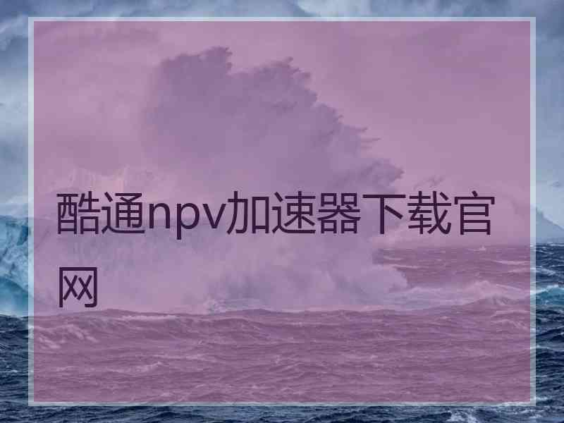 酷通npv加速器下载官网