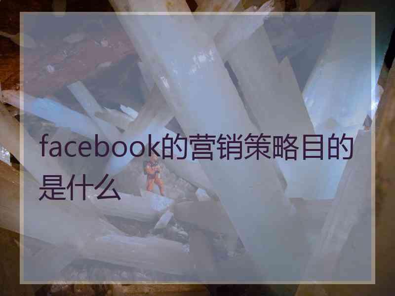 facebook的营销策略目的是什么