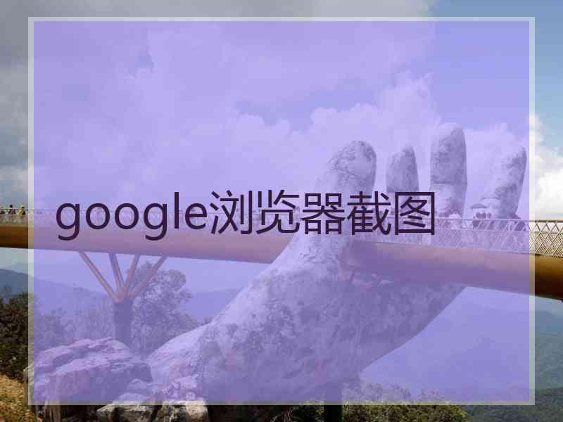 google浏览器截图