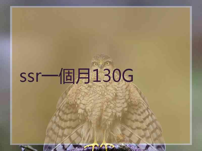 ssr一個月130G