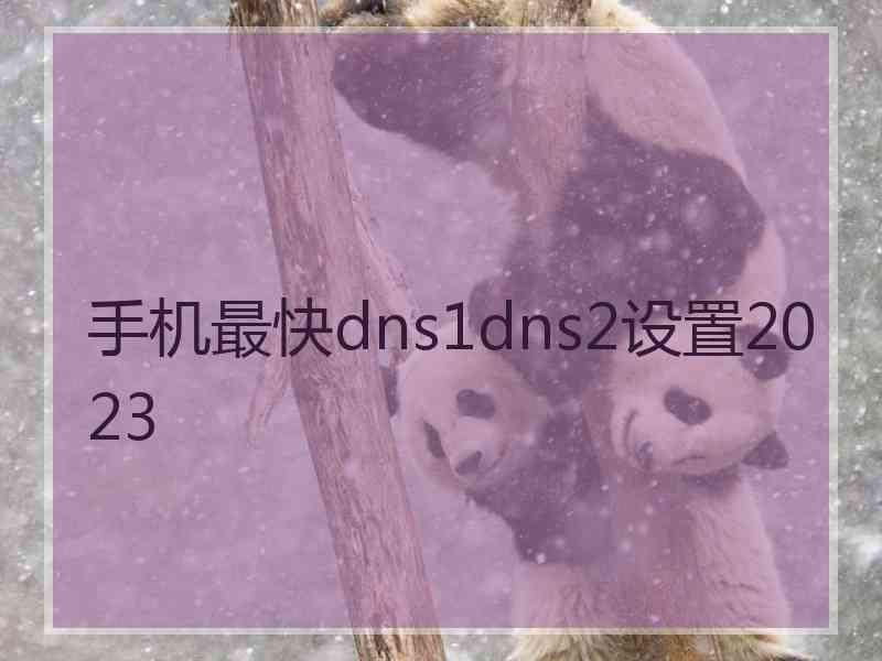 手机最快dns1dns2设置2023