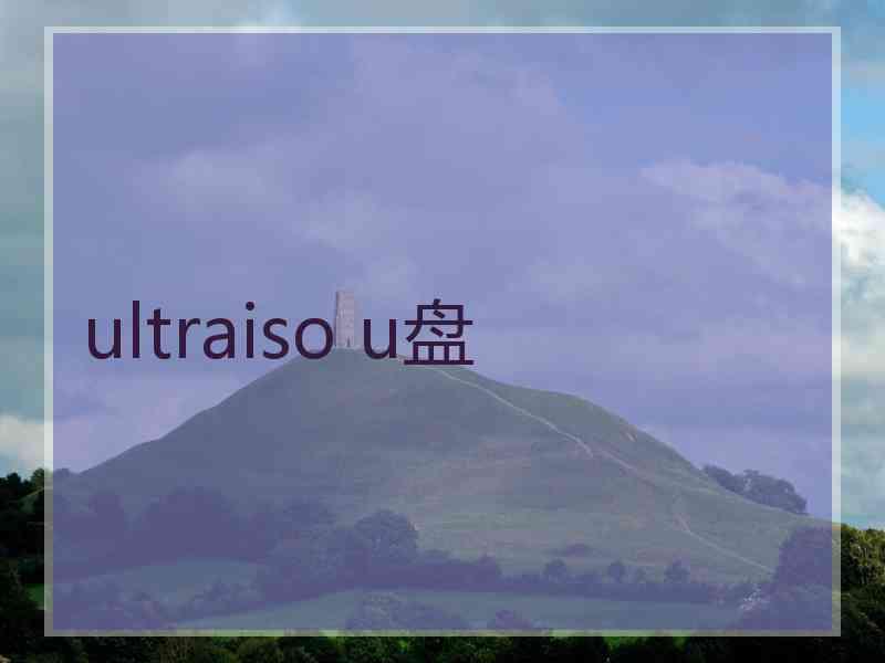 ultraiso u盘