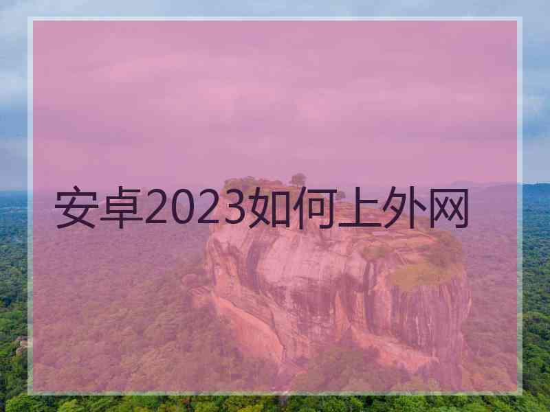 安卓2023如何上外网