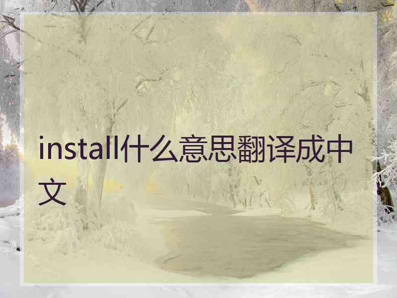 install什么意思翻译成中文