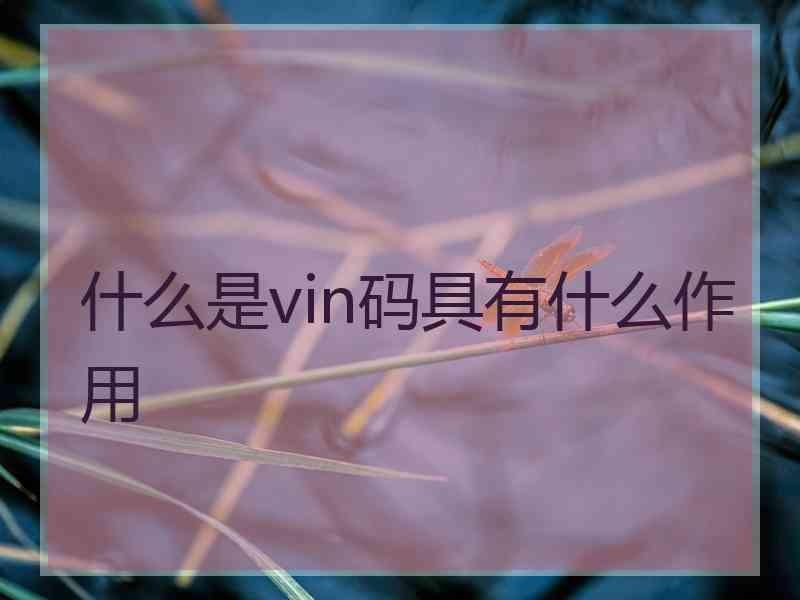 什么是vin码具有什么作用