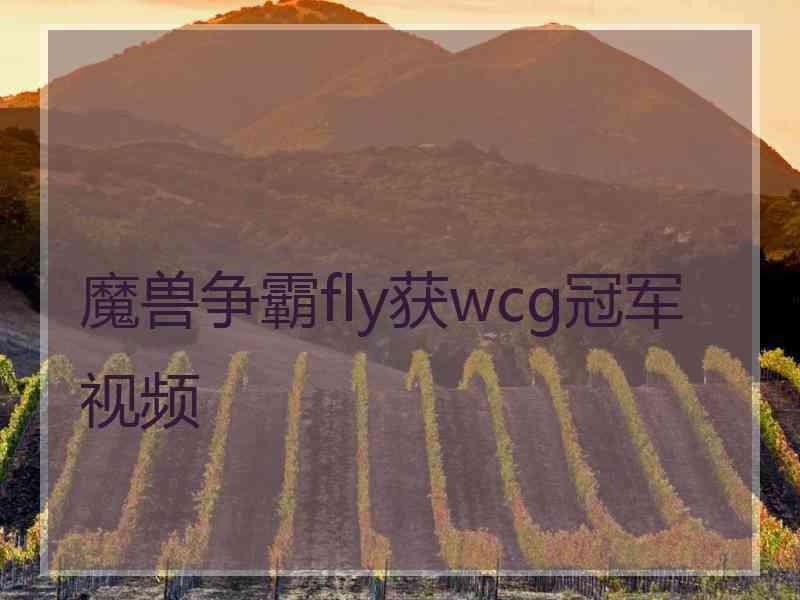 魔兽争霸fly获wcg冠军视频