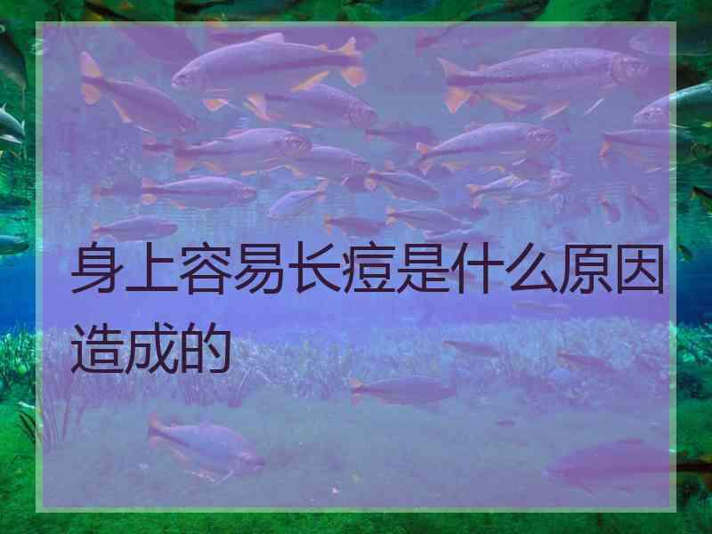 身上容易长痘是什么原因造成的