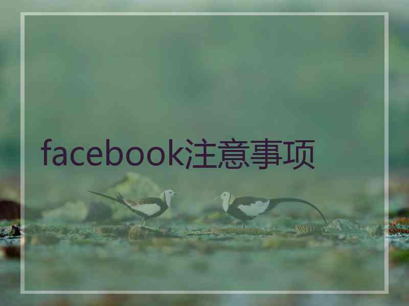 facebook注意事项