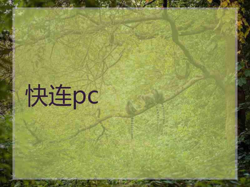 快连pc