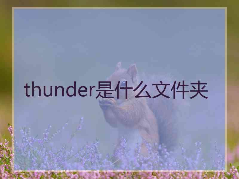 thunder是什么文件夹