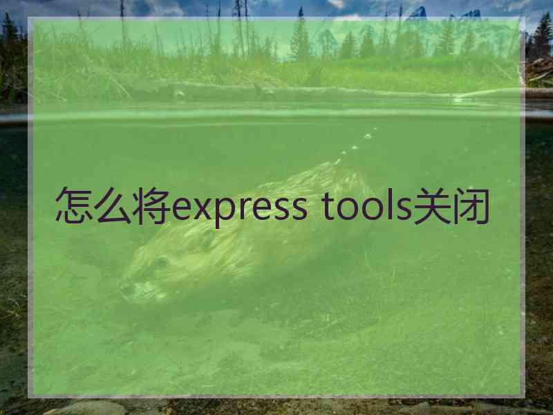 怎么将express tools关闭